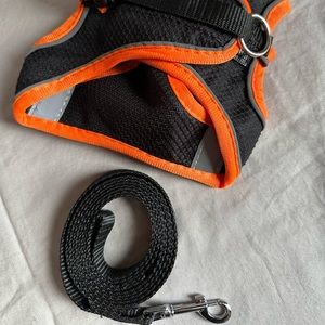 Dog harness, small with leash. New